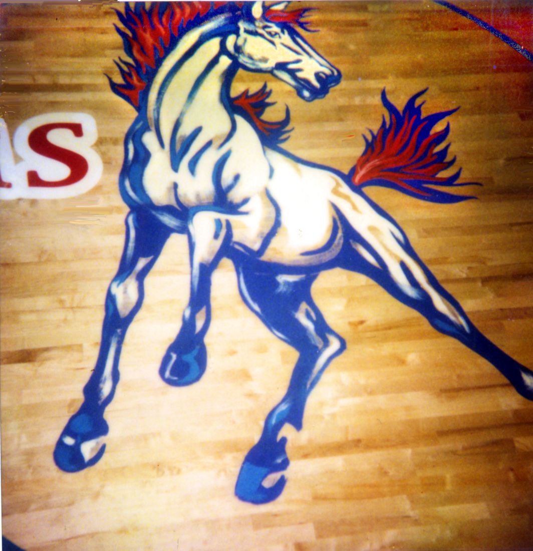West Jessamine Colts horse  Gym Floor Painting, Flying Armadillo Signs, Mike Burrell, FASCO