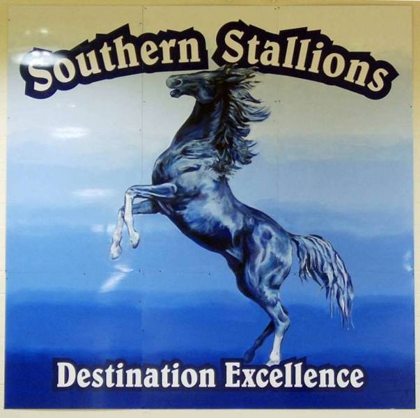 Southern Stallion  Gym Floor Painting, Flying Armadillo Signs, Mike Burrell, FASCO