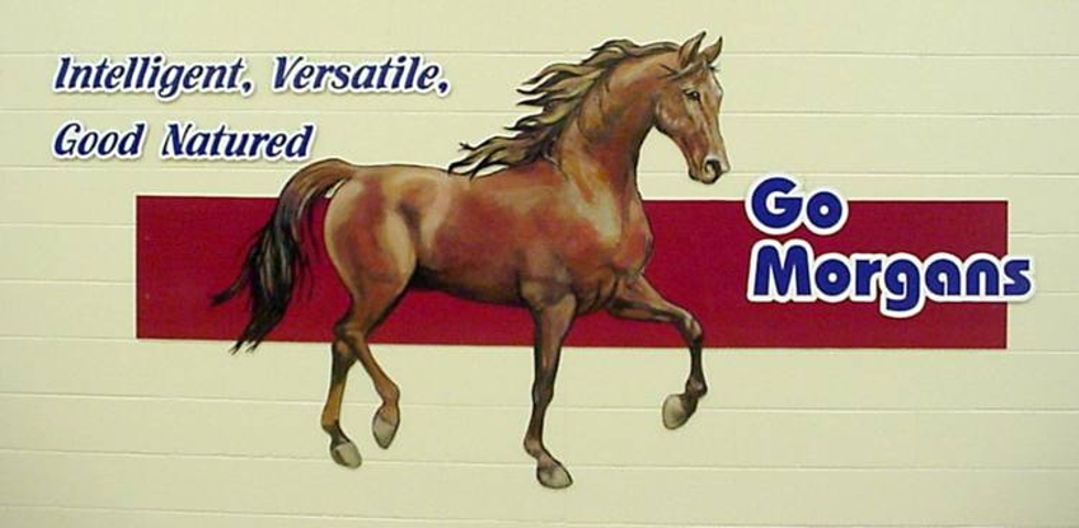 Morgans Horse School Painting, Flying Armadillo Signs, Mike Burrell, FASCO